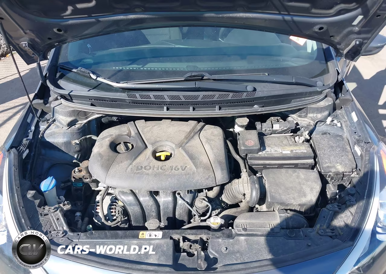 2016 Kia Forte Lx VIN:KNAFK4A6XG5486440 - 10