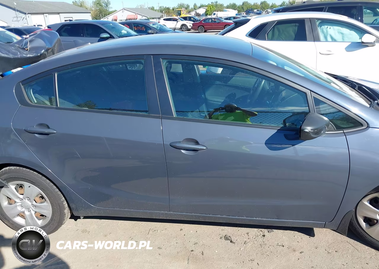2016 Kia Forte Lx VIN:KNAFK4A6XG5486440 - 13