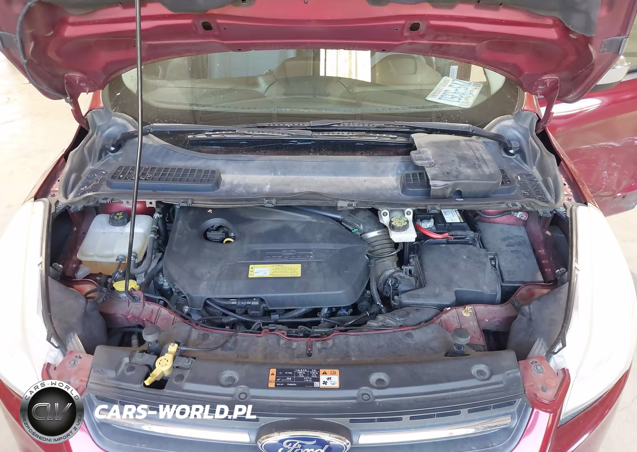 2014 Ford Escape Se VIN:1FMCU0GX4EUC34545 - 10
