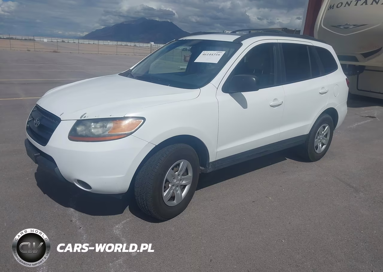 2009 Hyundai Santa Fe Gls VIN:5NMSG13D39H298906 - 2