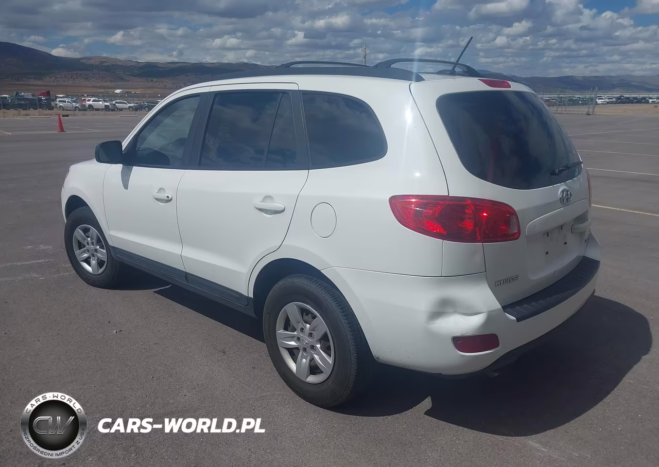 2009 Hyundai Santa Fe Gls VIN:5NMSG13D39H298906 - 3