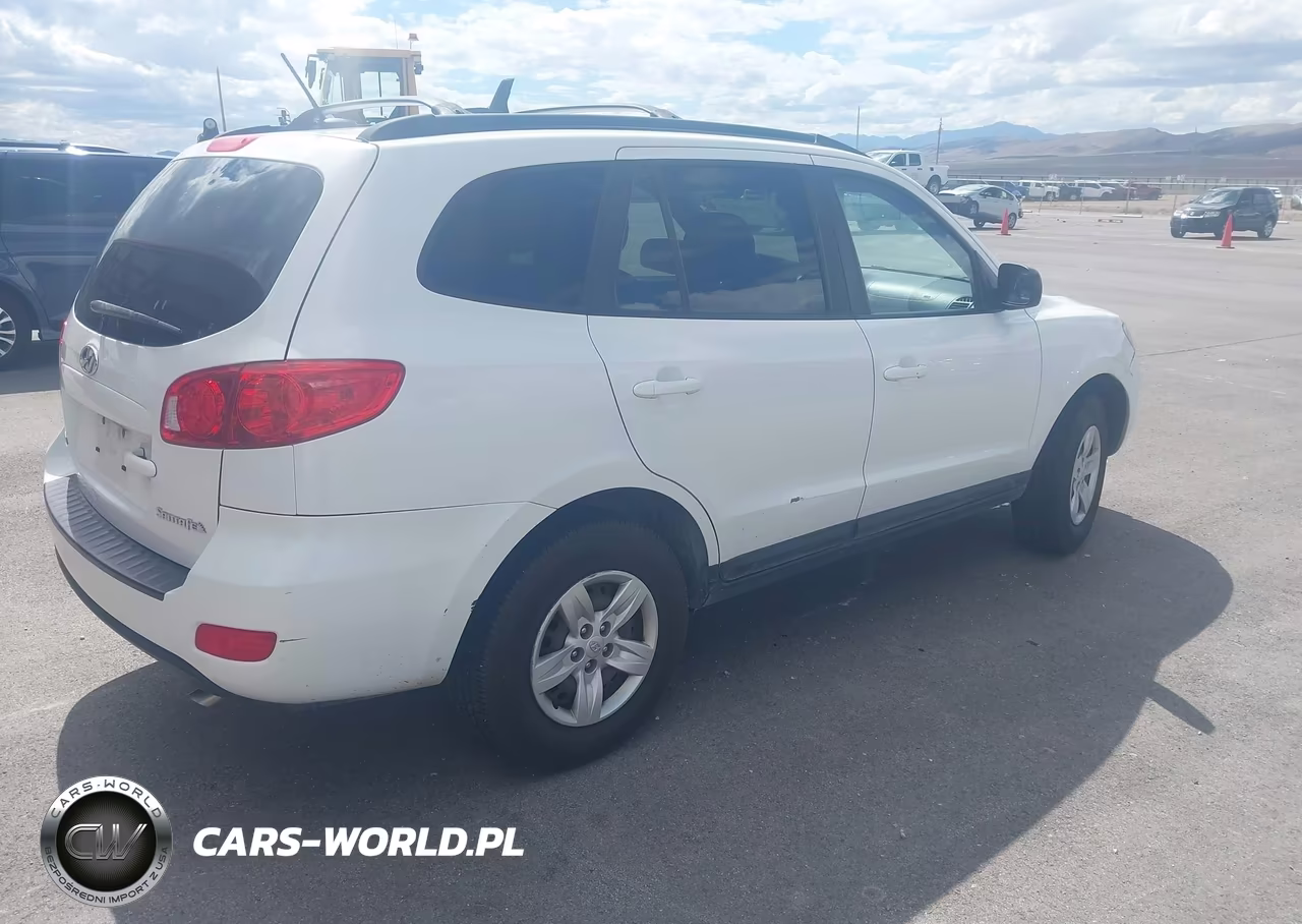 2009 Hyundai Santa Fe Gls VIN:5NMSG13D39H298906 - 4