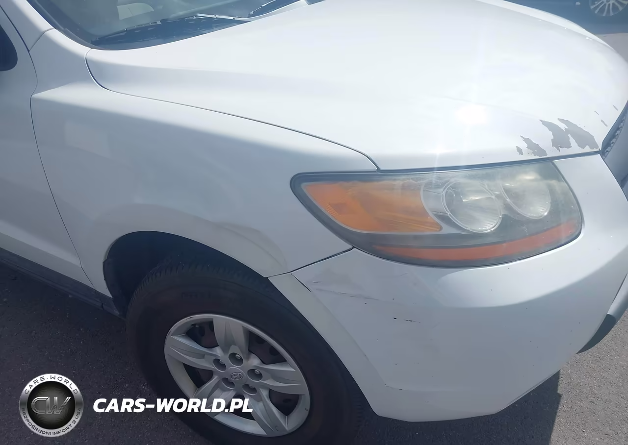 2009 Hyundai Santa Fe Gls VIN:5NMSG13D39H298906 - 6