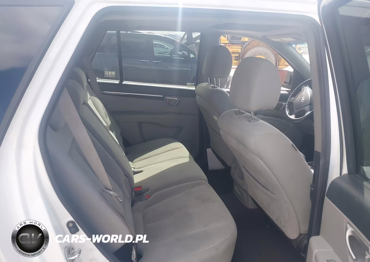 2009 Hyundai Santa Fe Gls VIN:5NMSG13D39H298906 - 8