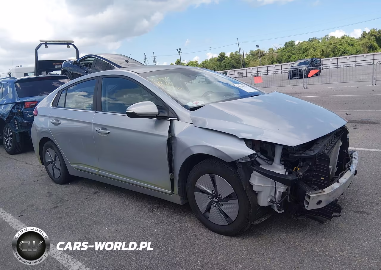 2021 Hyundai Ioniq Hybrid Se VIN:KMHC75LC9MU256045 - 13