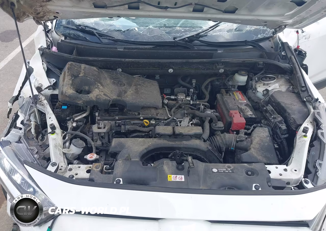 2019 Toyota Rav4 Xle Premium VIN:JTMA1RFV3KD506099 - 10