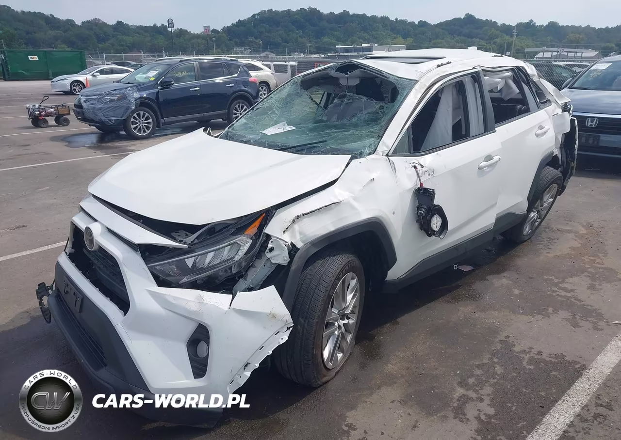 2019 Toyota Rav4 Xle Premium VIN:JTMA1RFV3KD506099 - 2