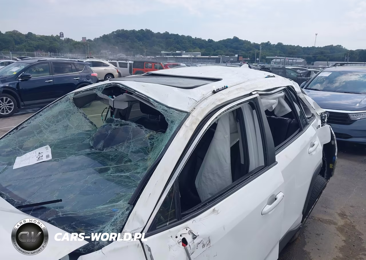 2019 Toyota Rav4 Xle Premium VIN:JTMA1RFV3KD506099 - 6