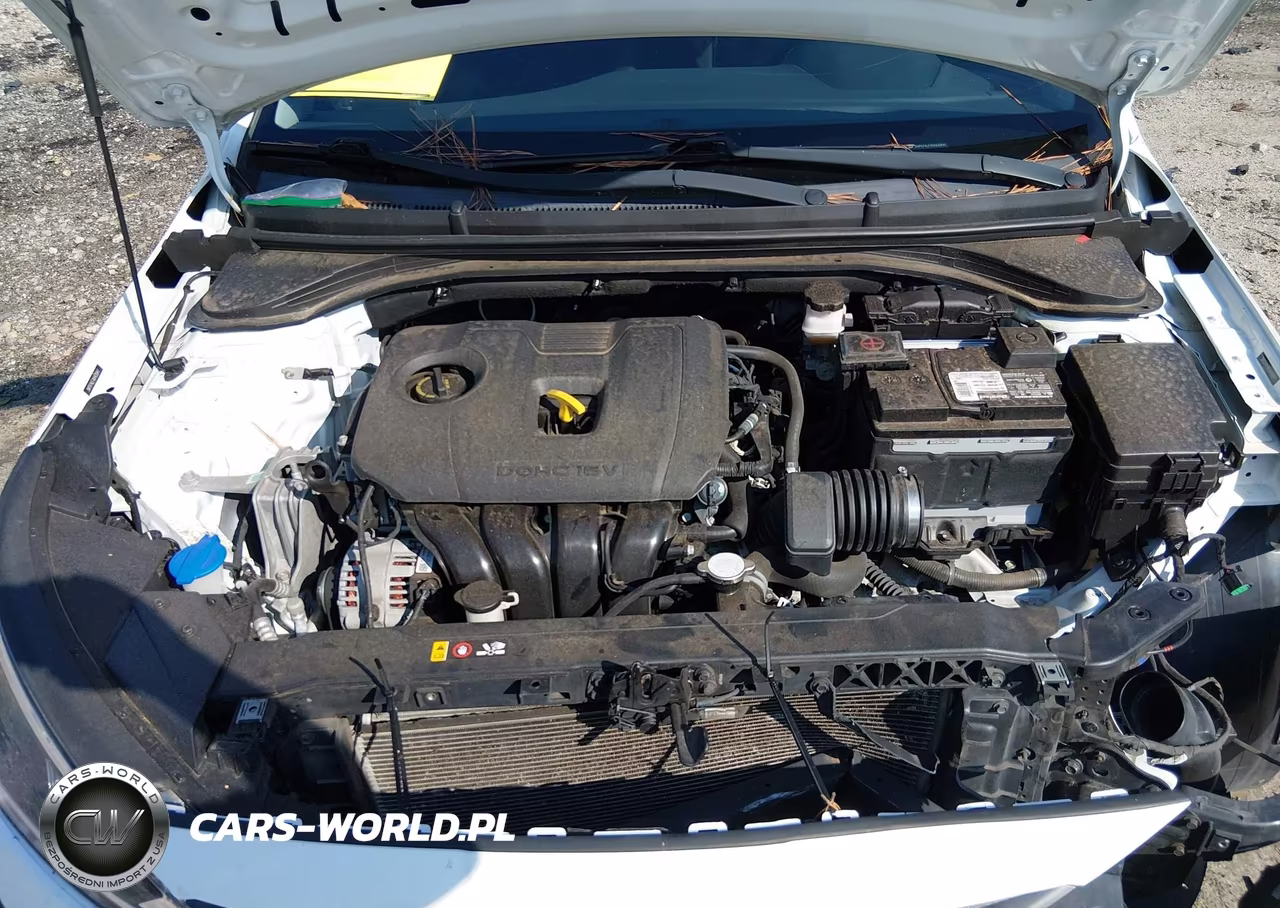2019 Hyundai Elantra Se VIN:5NPD74LF7KH435947 - 10