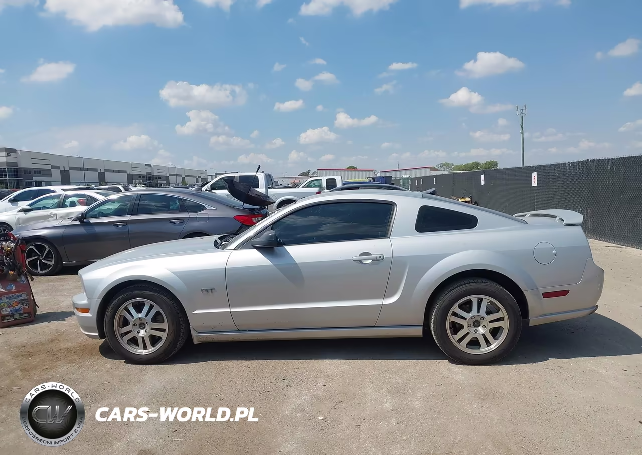 2005 Ford Mustang Gt Deluxe-Gt Premium VIN:1ZVFT82H055185564 - 14