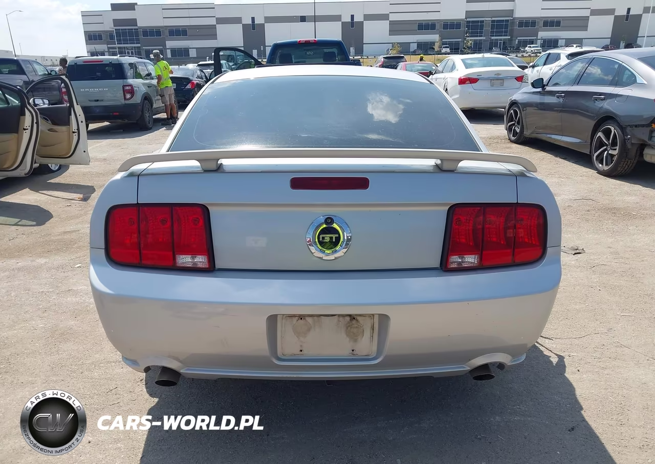 2005 Ford Mustang Gt Deluxe-Gt Premium VIN:1ZVFT82H055185564 - 16