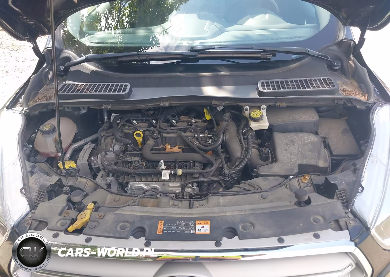 2019 Ford Escape Se VIN:1FMCU9GD5KUA36885 - 10