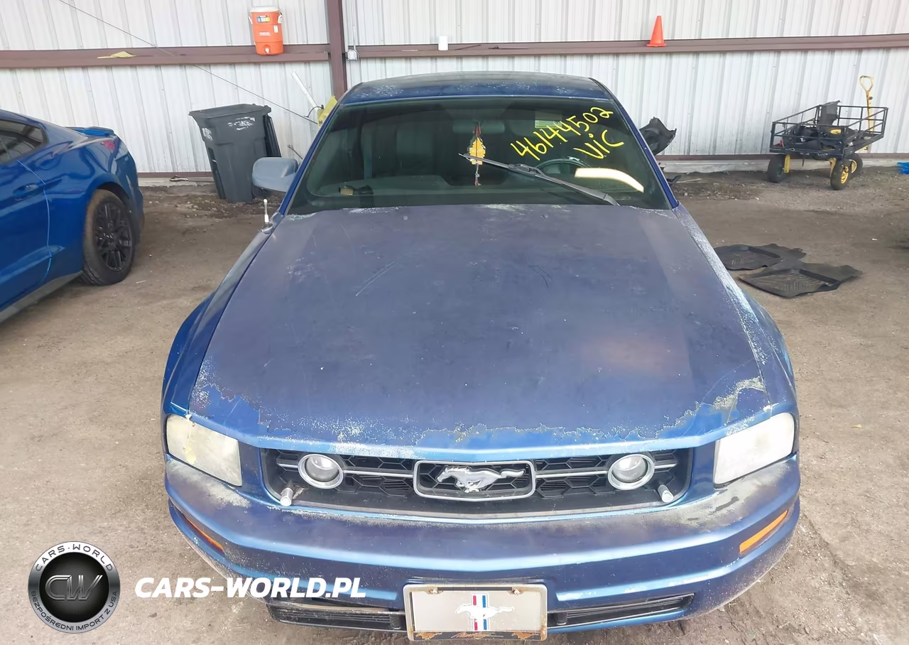 2006 Ford Mustang V6 VIN:1ZVHT80N065211549 - 12