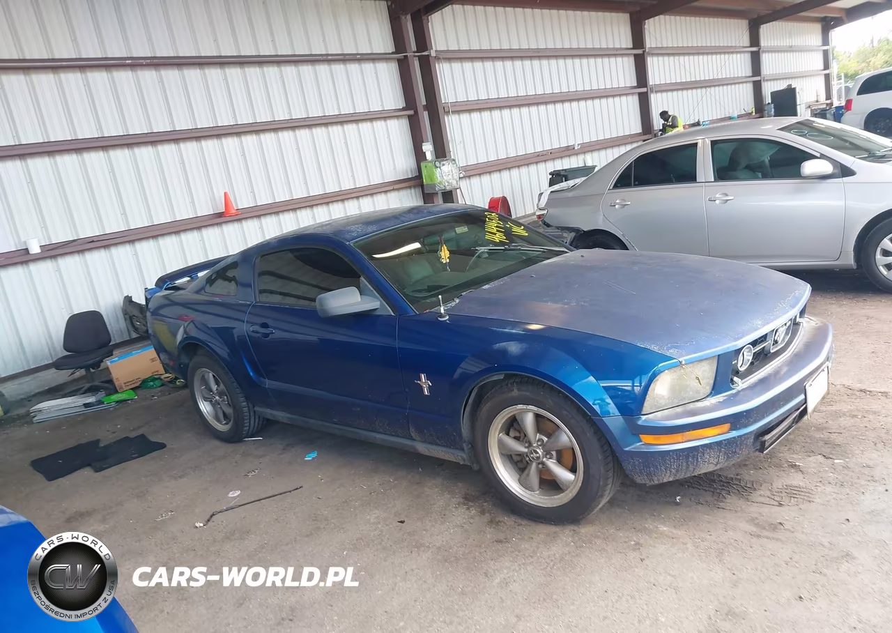 2006 Ford Mustang V6 VIN:1ZVHT80N065211549 - 13