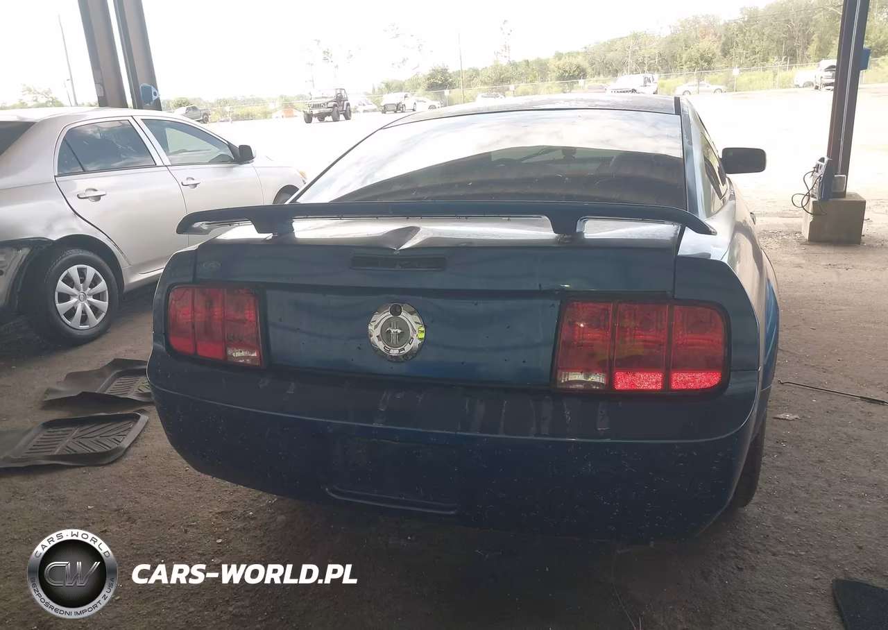 2006 Ford Mustang V6 VIN:1ZVHT80N065211549 - 16