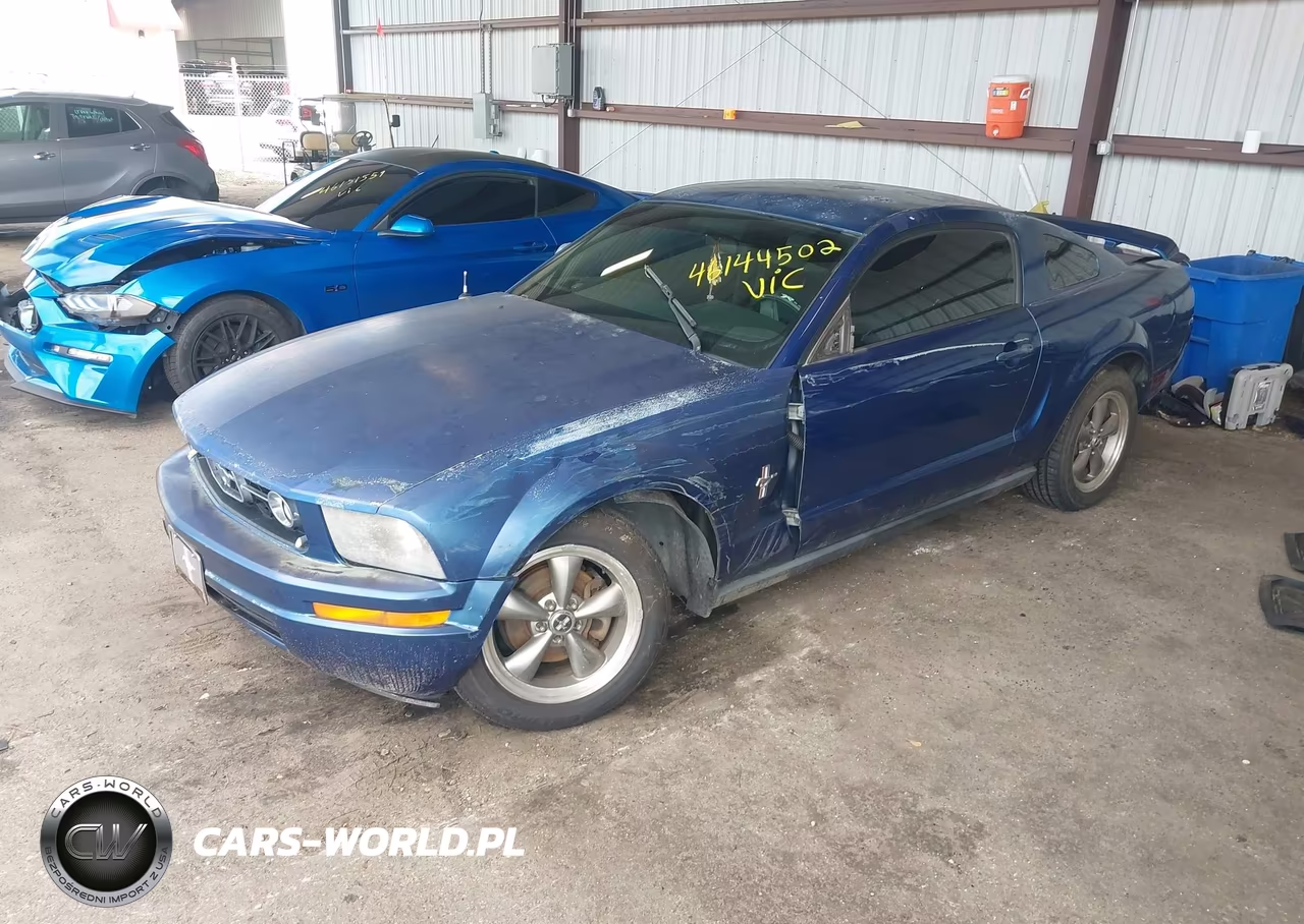 2006 Ford Mustang V6 VIN:1ZVHT80N065211549 - 2