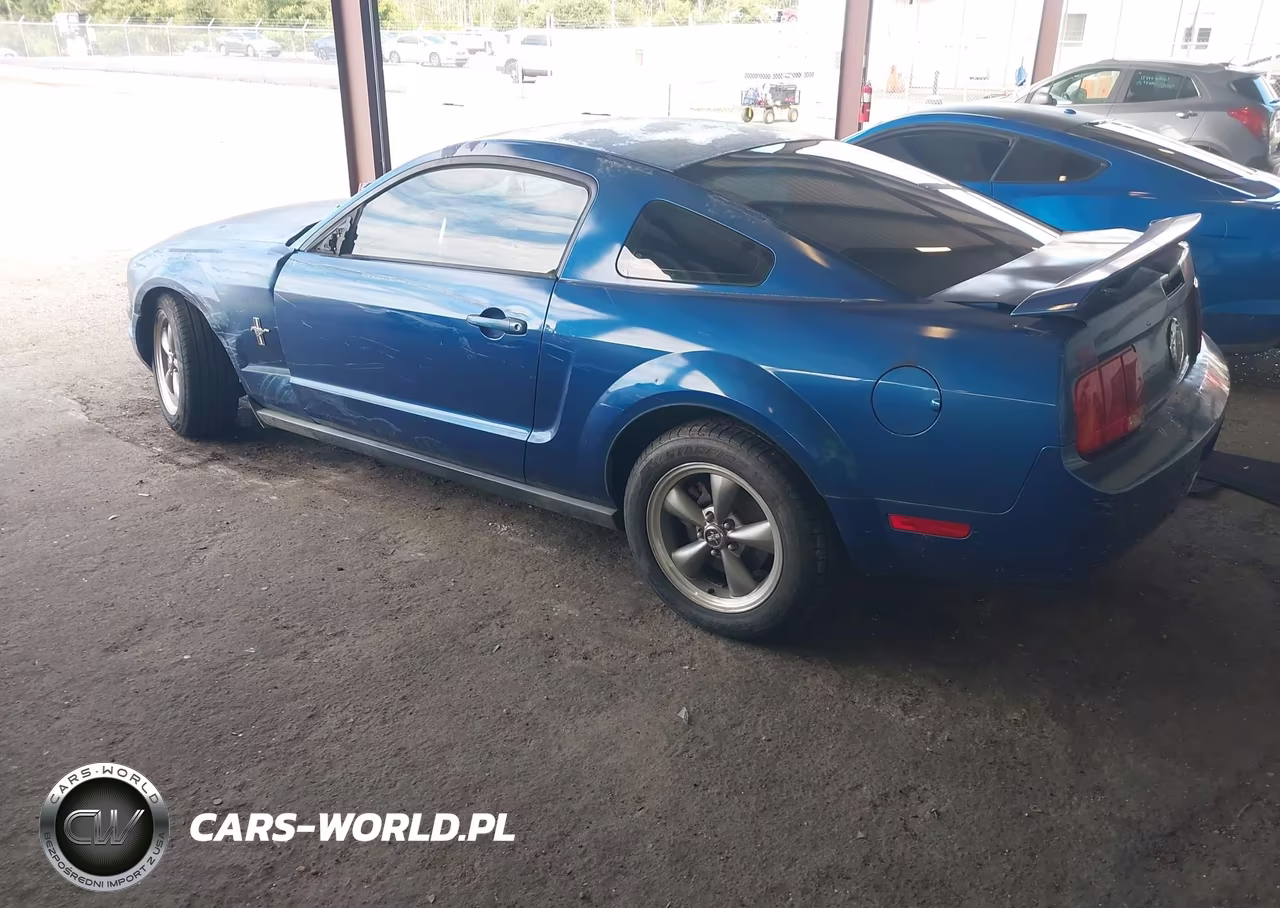 2006 Ford Mustang V6 VIN:1ZVHT80N065211549 - 3