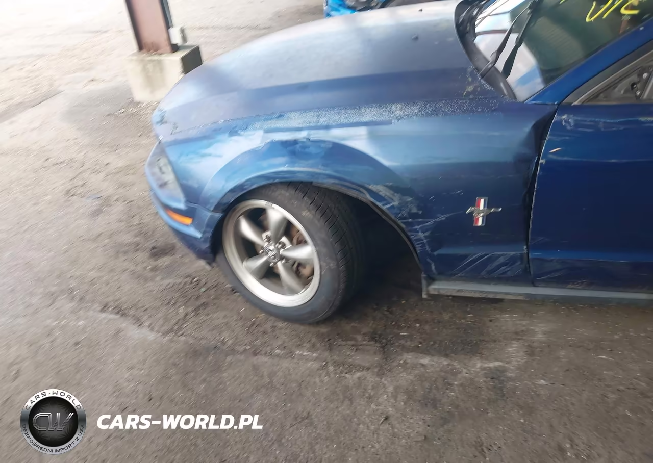 2006 Ford Mustang V6 VIN:1ZVHT80N065211549 - 6