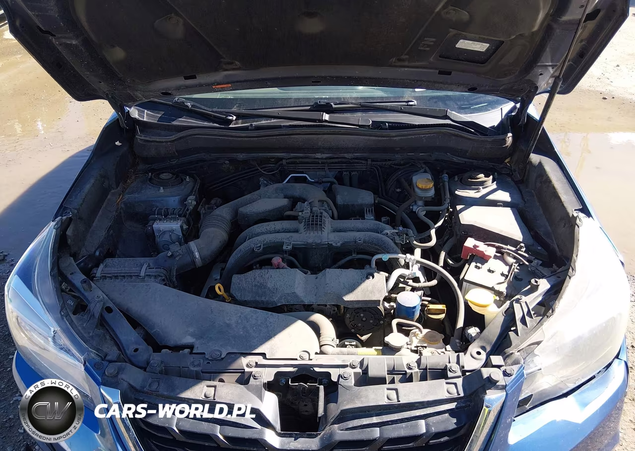 2018 Subaru Forester 2.5I VIN:JF2SJABC2JH461594 - 10