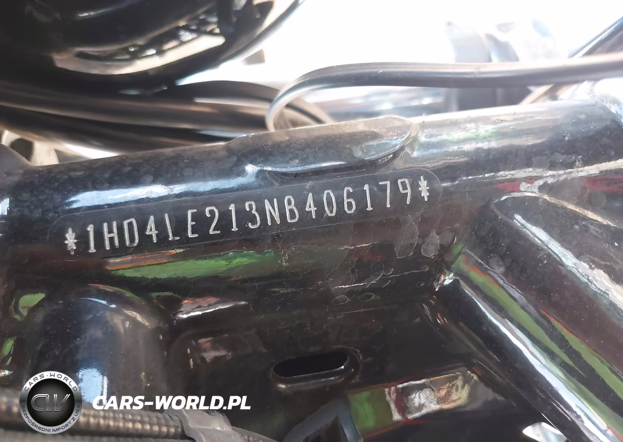 2022 Harley-Davidson Xl883 N VIN:1HD4LE213NB406179 - 10