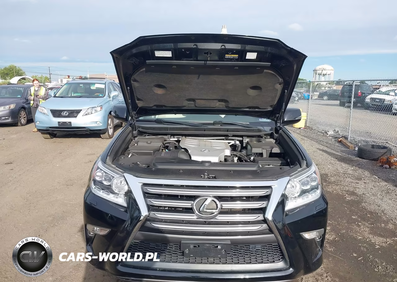 2019 Lexus Gx 460 Premium VIN:JTJBM7FX4K5211277 - 10
