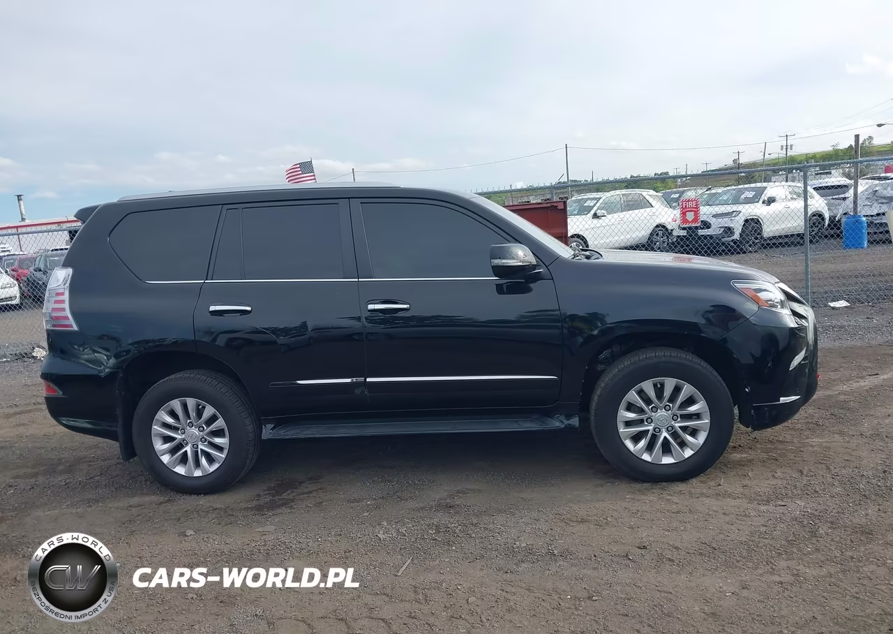 2019 Lexus Gx 460 Premium VIN:JTJBM7FX4K5211277 - 13