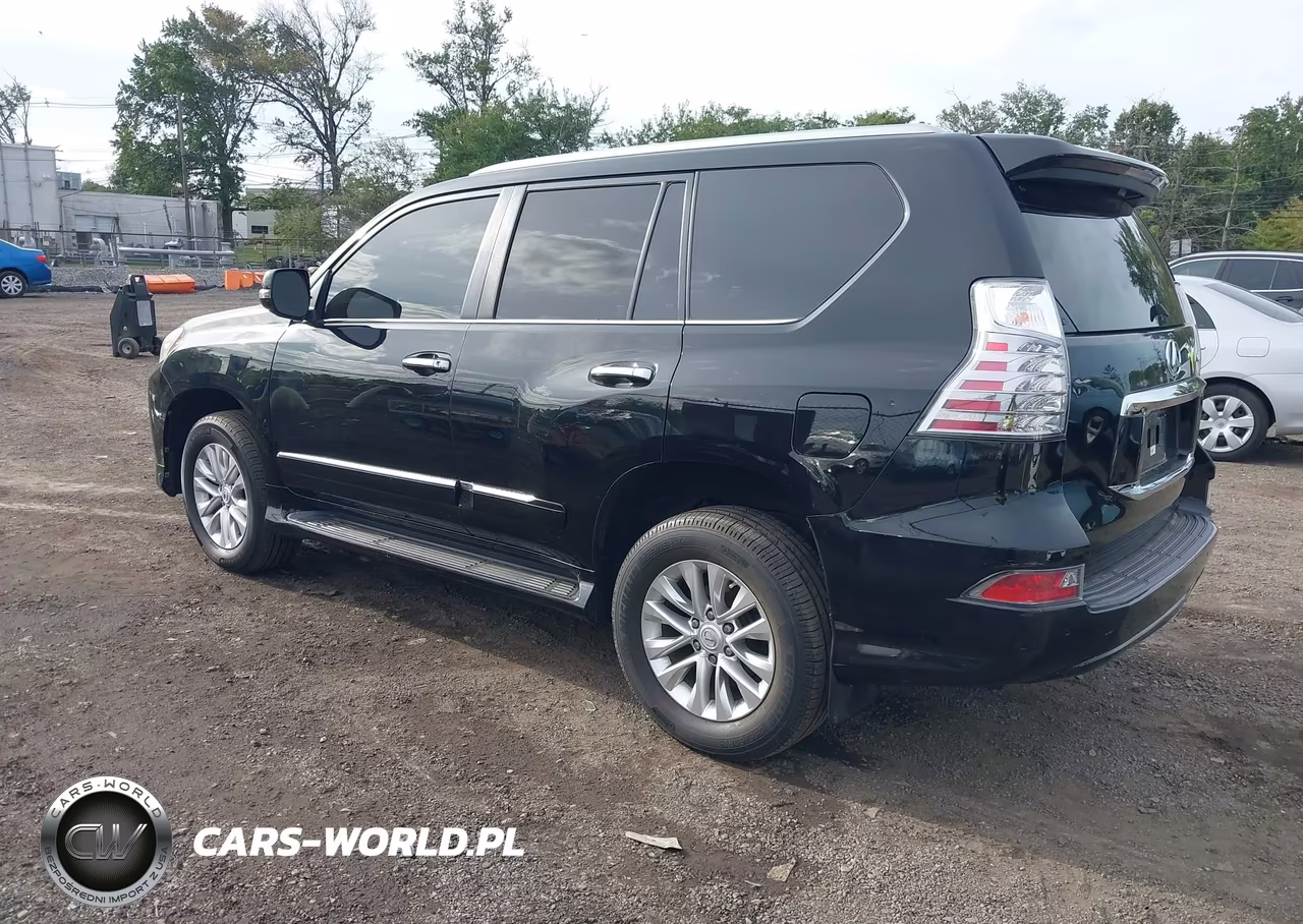 2019 Lexus Gx 460 Premium VIN:JTJBM7FX4K5211277 - 3
