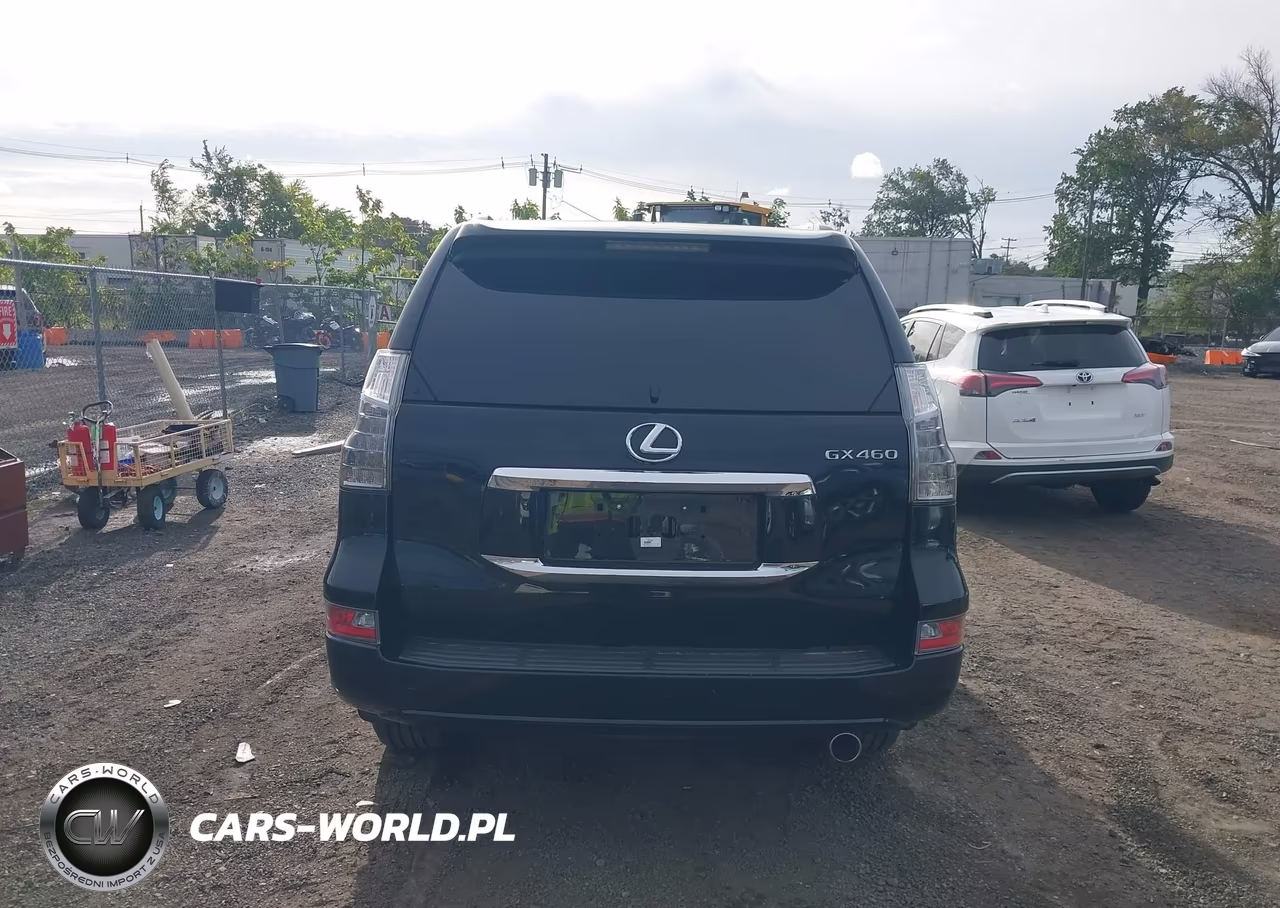 2019 Lexus Gx 460 Premium VIN:JTJBM7FX4K5211277 - 6