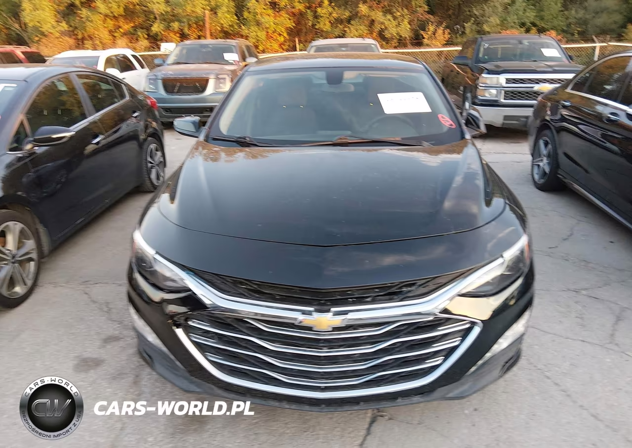 2019 Chevrolet Malibu Lt VIN:1G1ZD5ST5KF136634 - 12