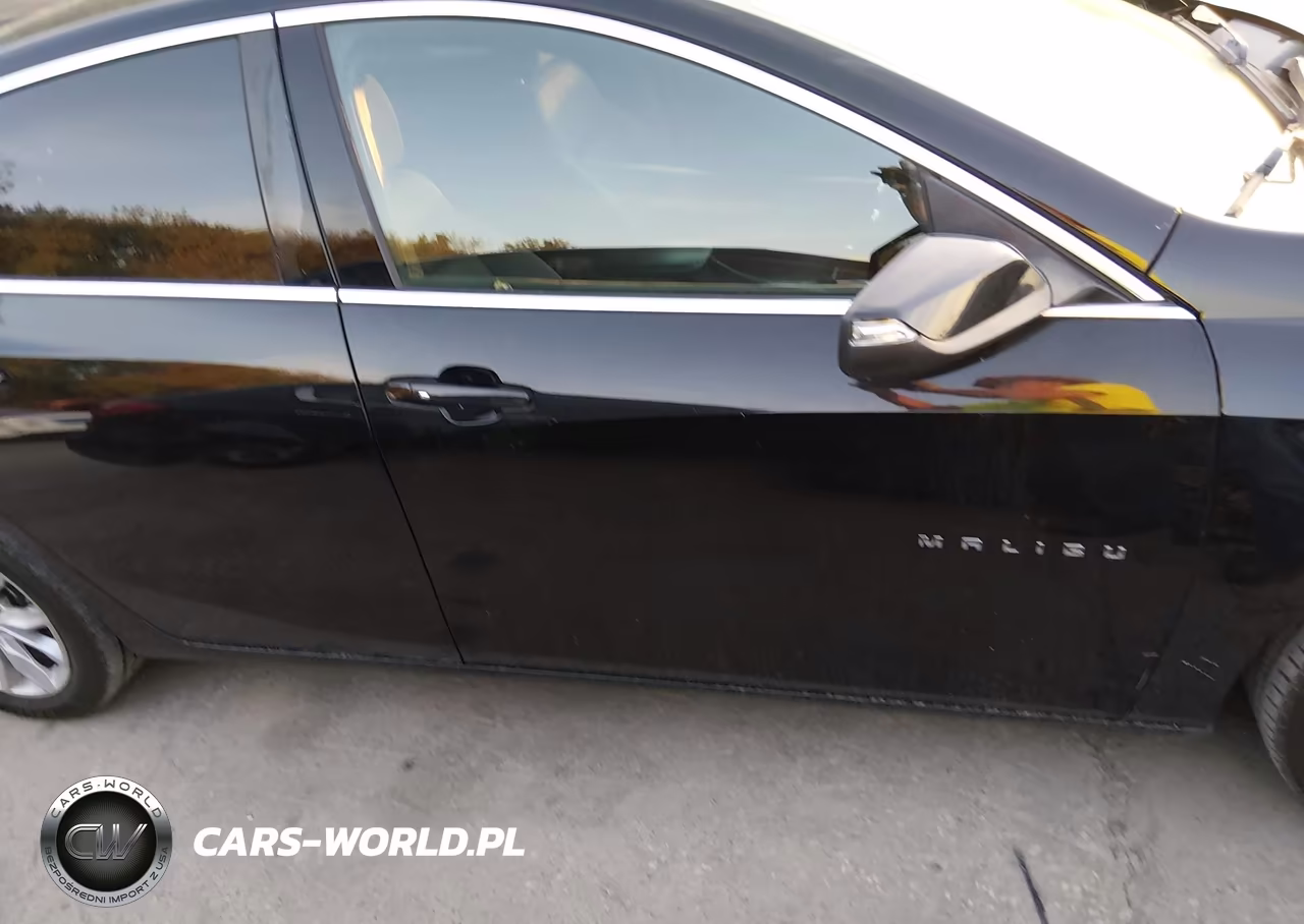 2019 Chevrolet Malibu Lt VIN:1G1ZD5ST5KF136634 - 13