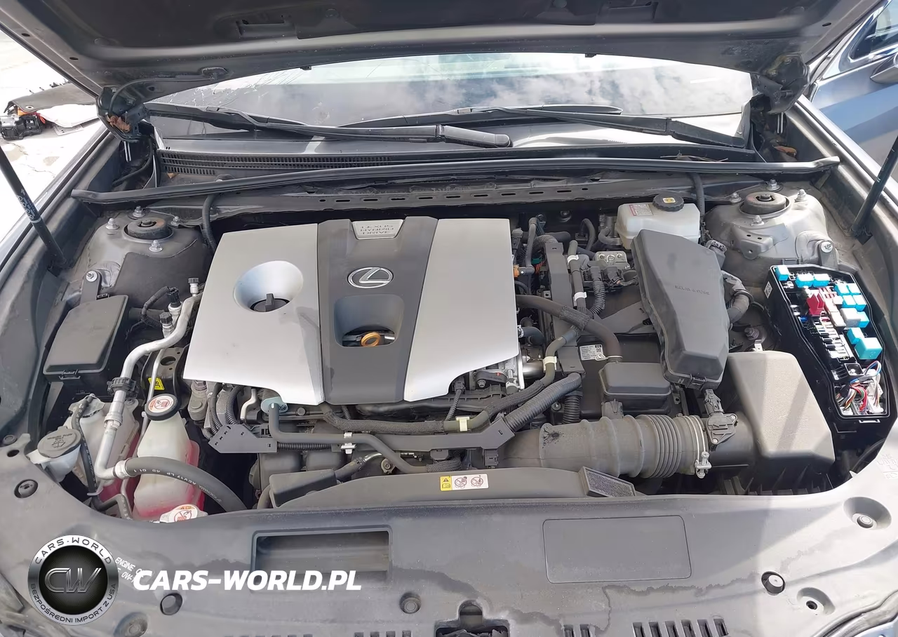2020 Lexus Es 300H VIN:58AD21B11LU012165 - 10
