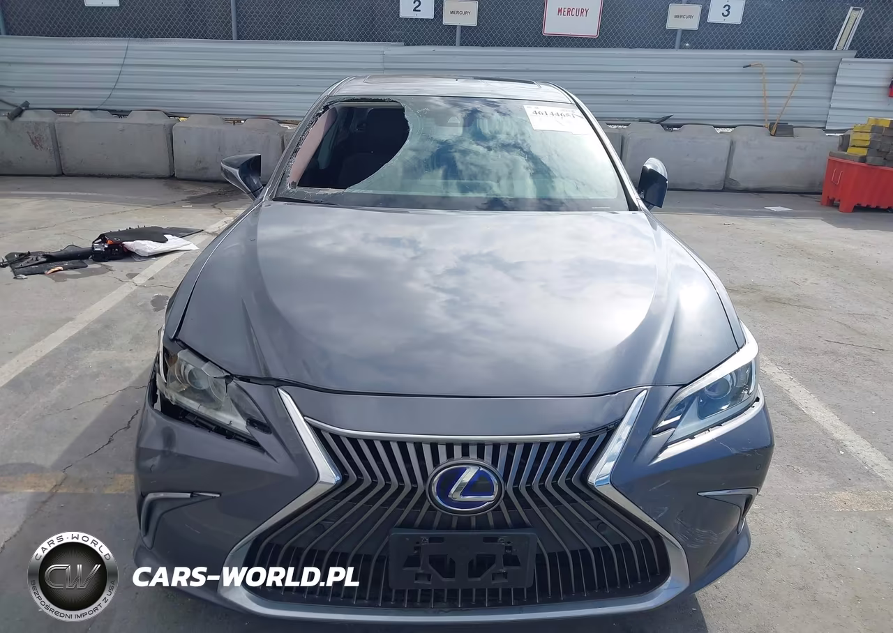 2020 Lexus Es 300H VIN:58AD21B11LU012165 - 12