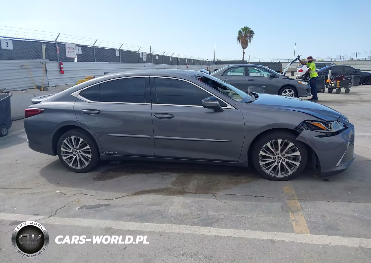 2020 Lexus Es 300H VIN:58AD21B11LU012165 - 13