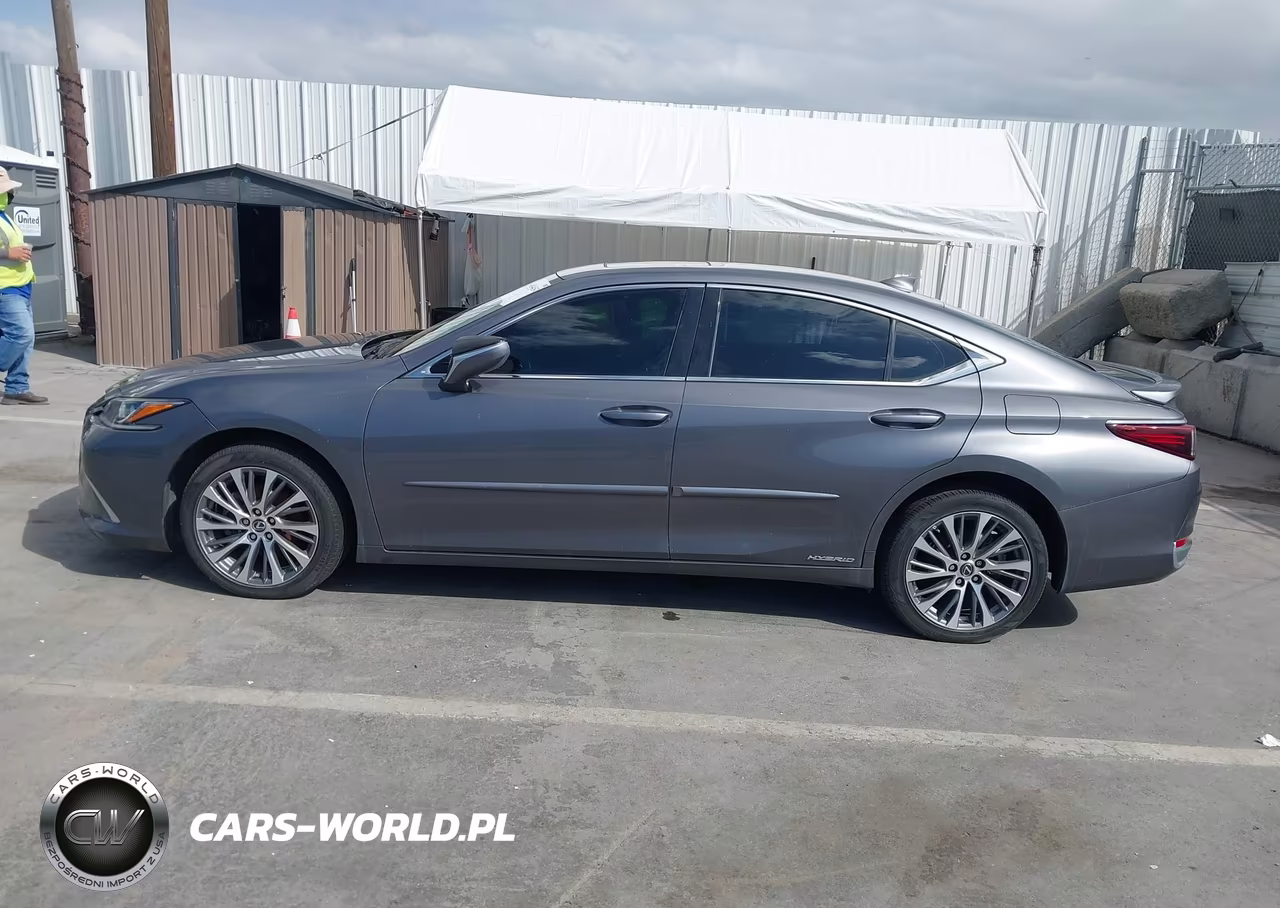 2020 Lexus Es 300H VIN:58AD21B11LU012165 - 14
