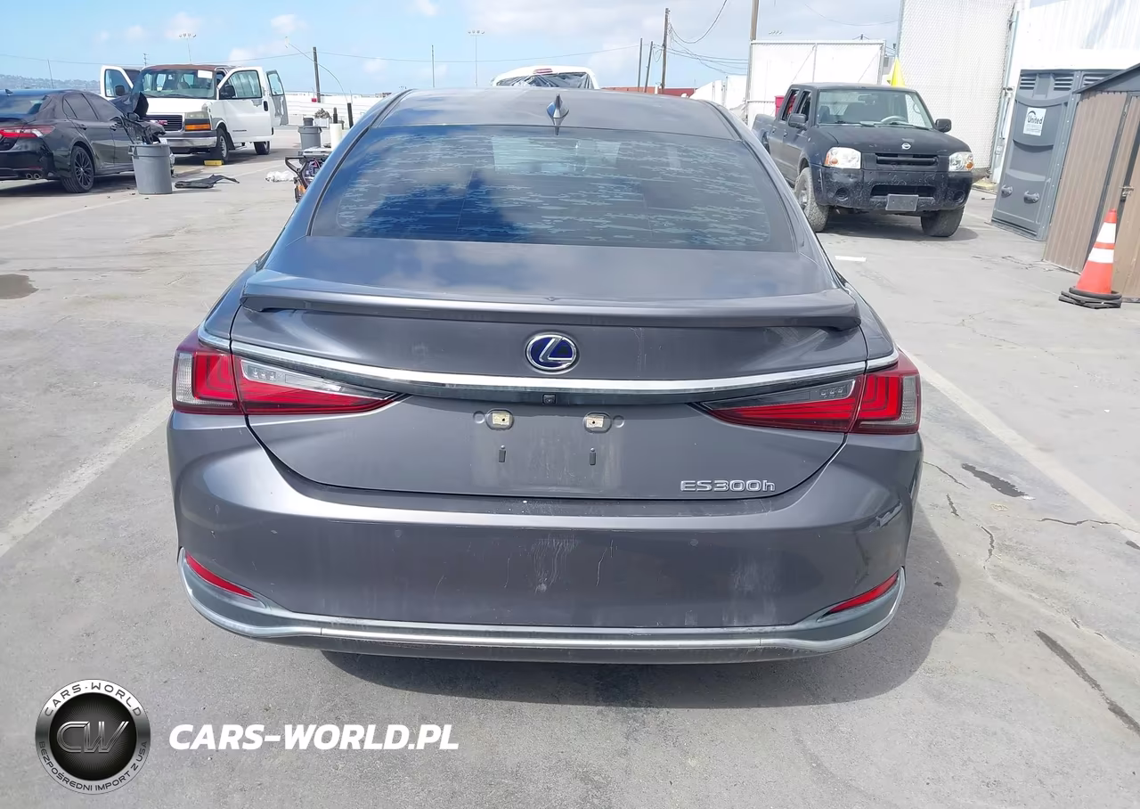 2020 Lexus Es 300H VIN:58AD21B11LU012165 - 16