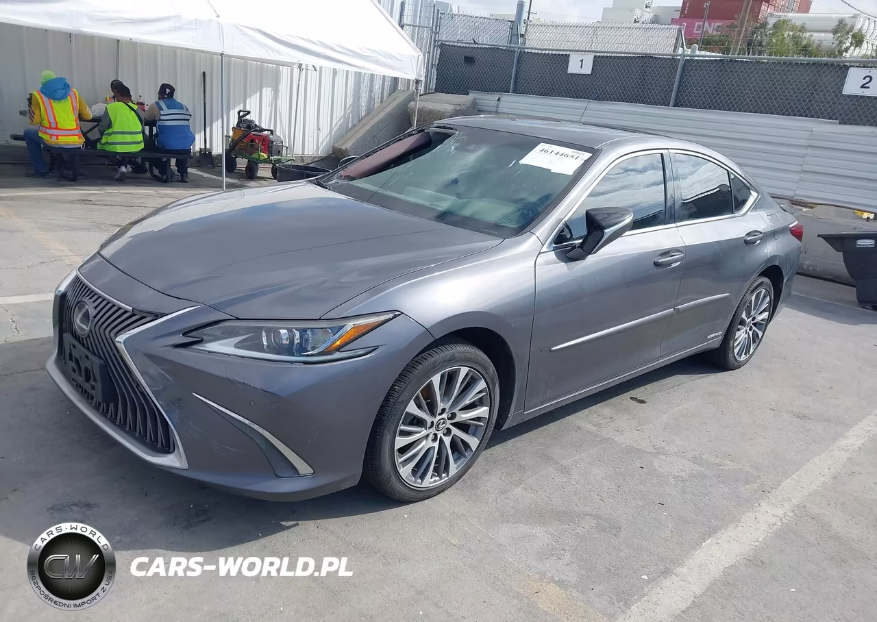 2020 Lexus Es 300H VIN:58AD21B11LU012165 - 2