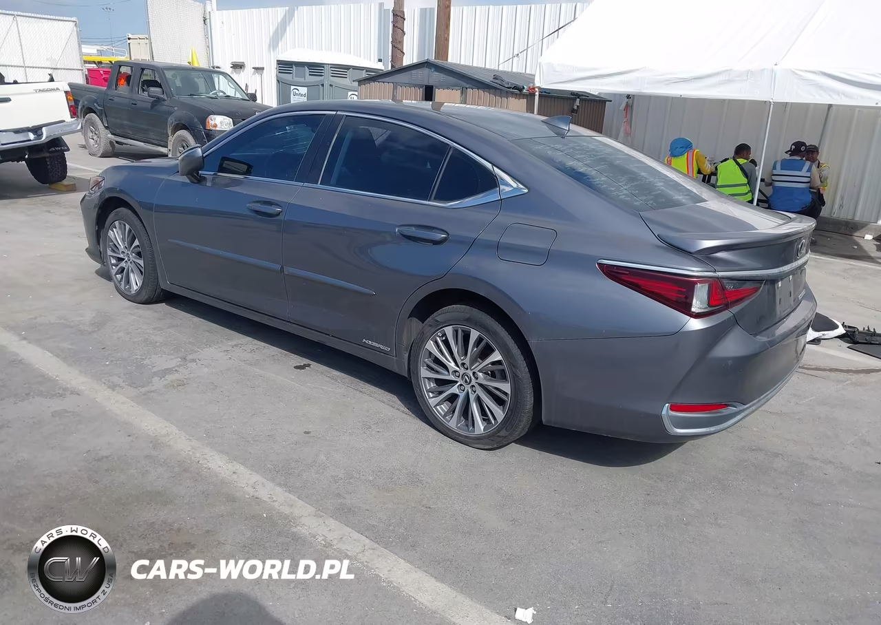 2020 Lexus Es 300H VIN:58AD21B11LU012165 - 3