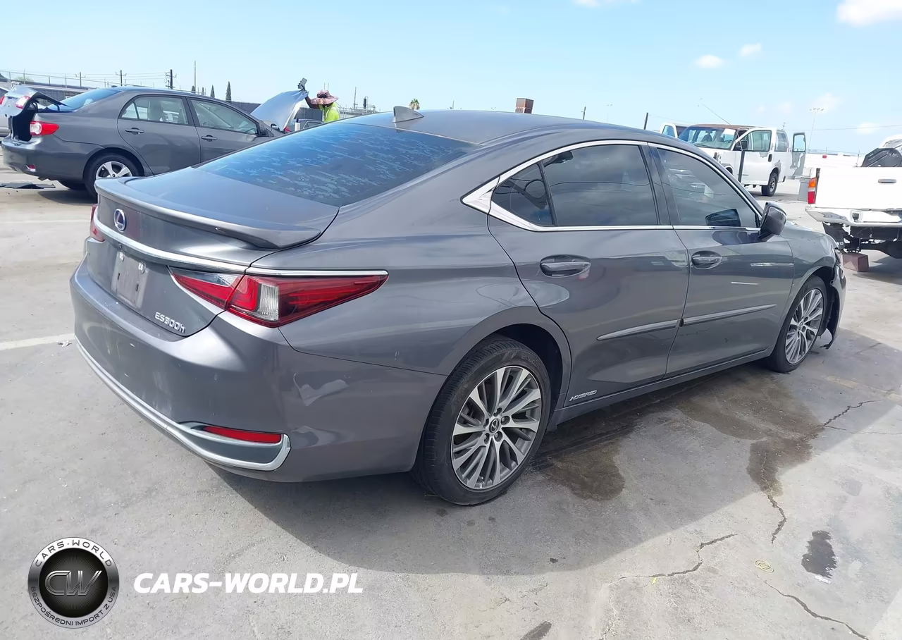 2020 Lexus Es 300H VIN:58AD21B11LU012165 - 4