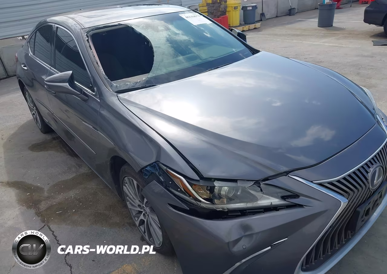 2020 Lexus Es 300H VIN:58AD21B11LU012165 - 6