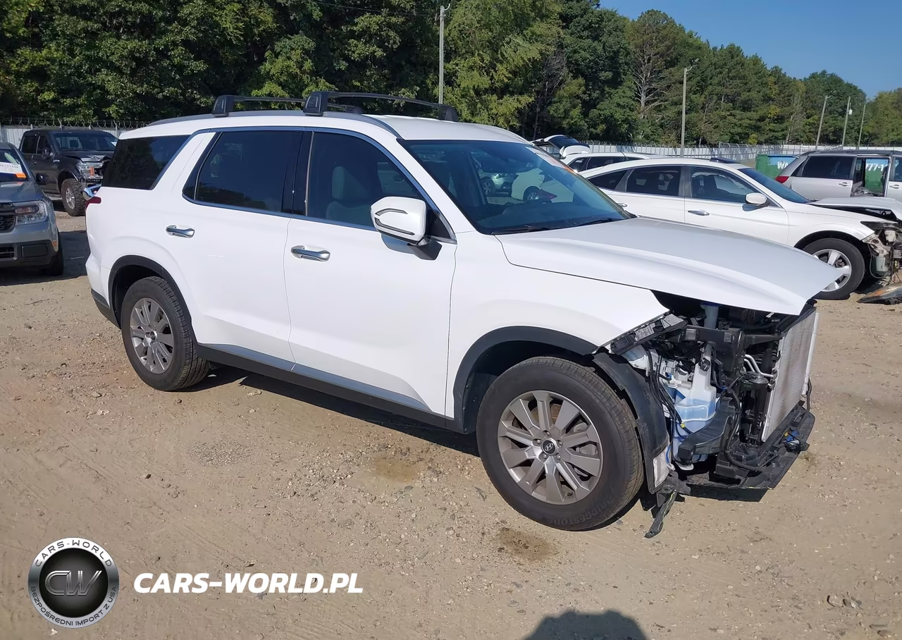 2023 Hyundai Palisade Sel VIN:KM8R24GE6PU596028 - 1