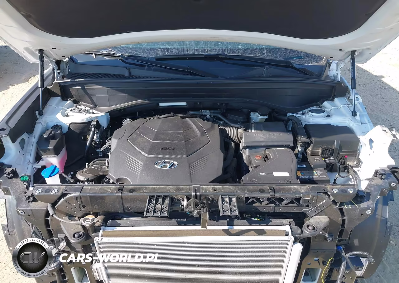 2023 Hyundai Palisade Sel VIN:KM8R24GE6PU596028 - 10