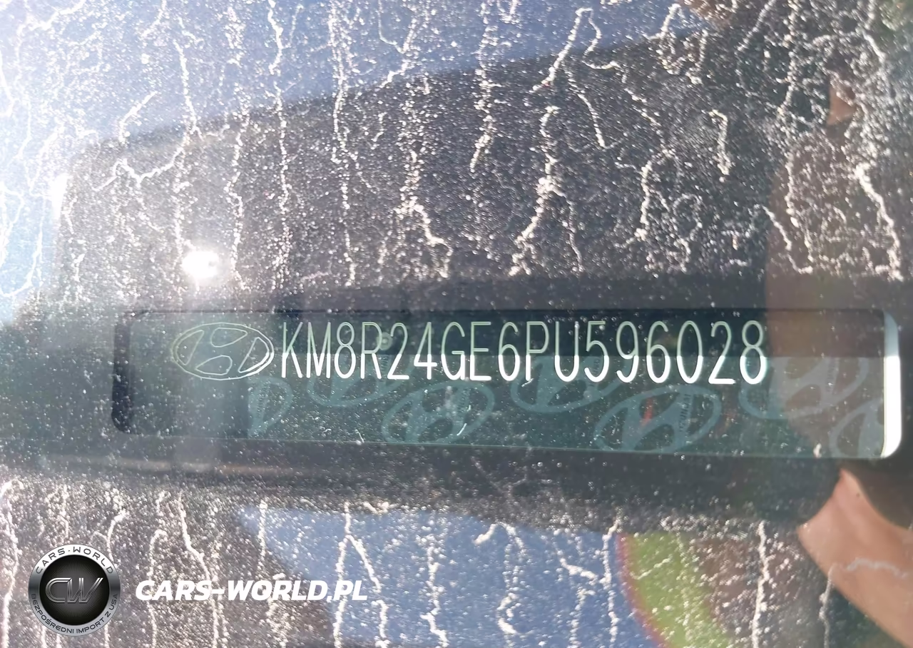 2023 Hyundai Palisade Sel VIN:KM8R24GE6PU596028 - 18