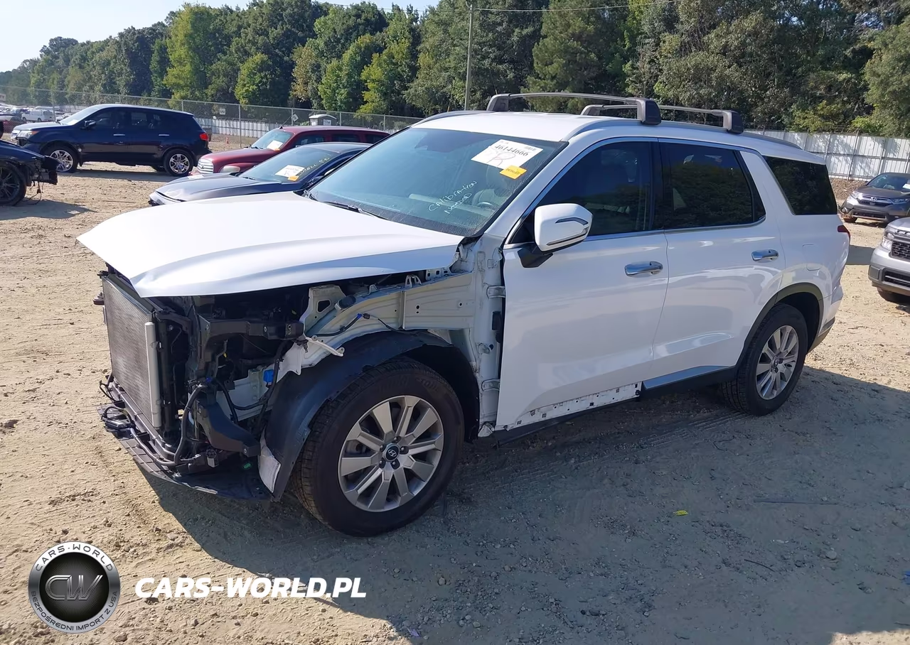 2023 Hyundai Palisade Sel VIN:KM8R24GE6PU596028 - 2