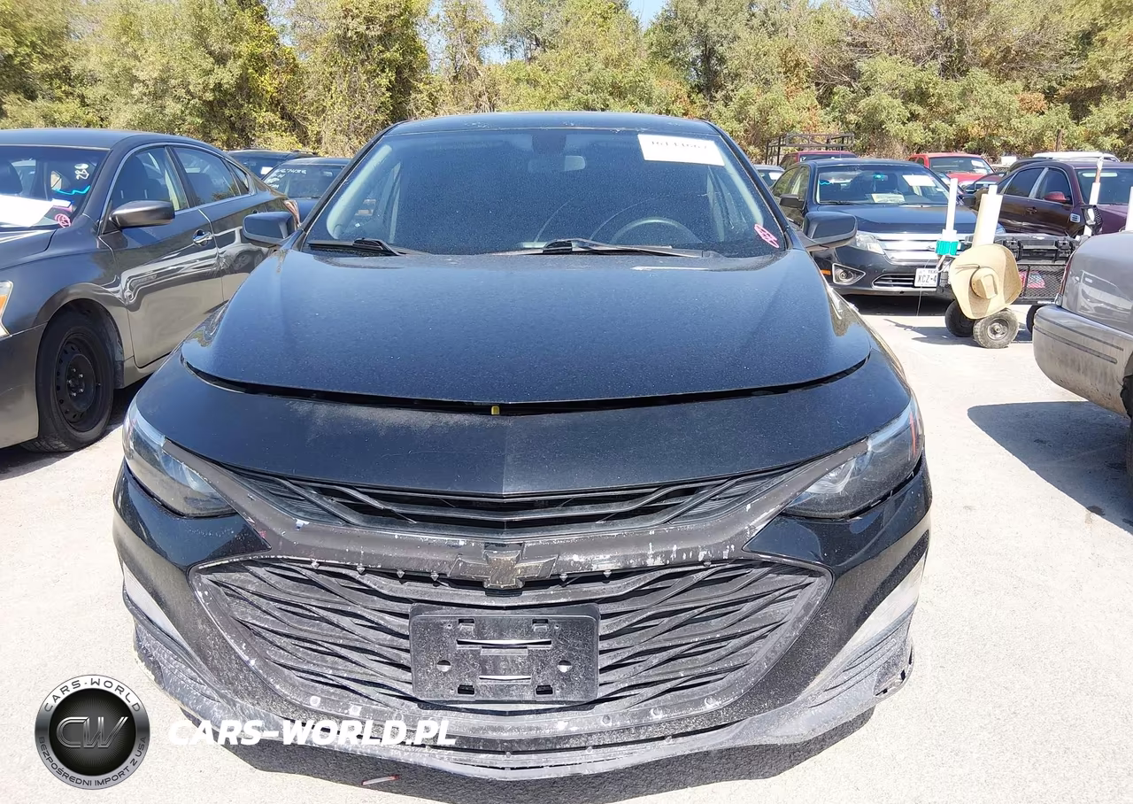 2019 Chevrolet Malibu Lt VIN:1G1ZD5ST9KF157938 - 12