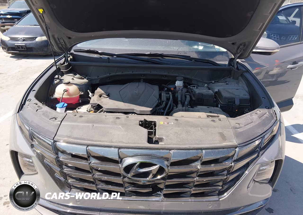 2024 Hyundai Tucson Limited VIN:5NMJE3DE4RH314969 - 10