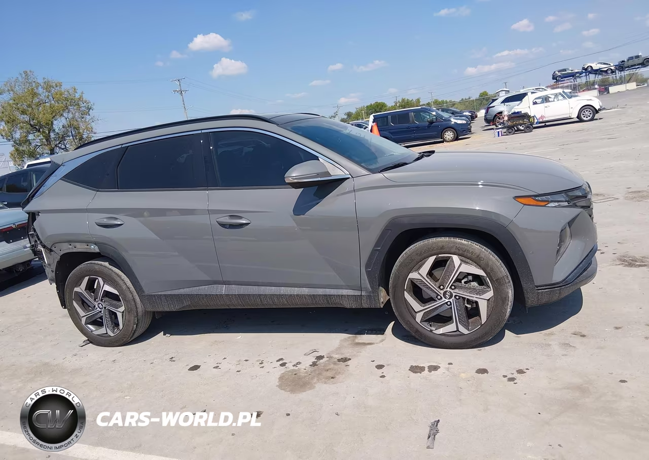 2024 Hyundai Tucson Limited VIN:5NMJE3DE4RH314969 - 13