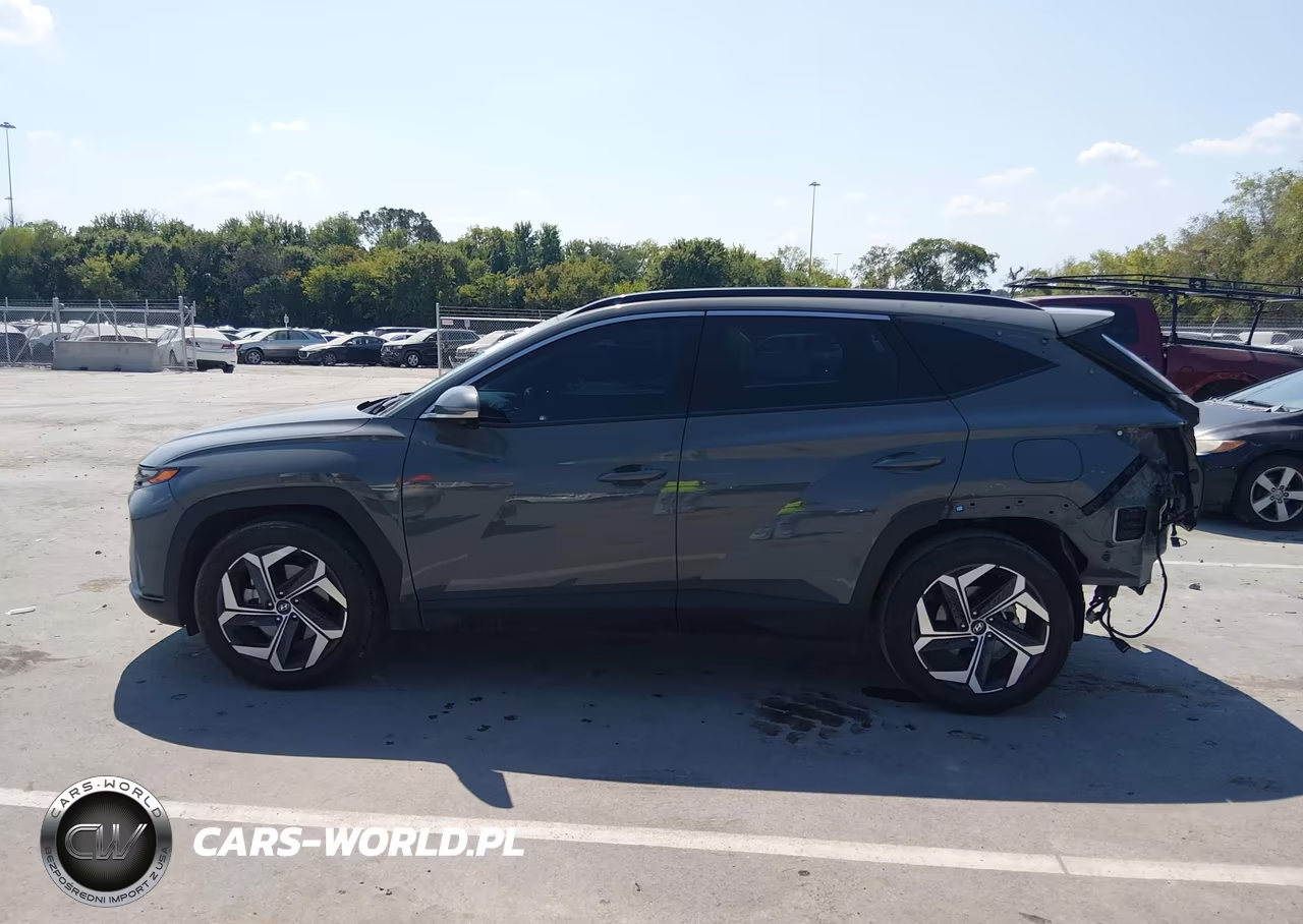 2024 Hyundai Tucson Limited VIN:5NMJE3DE4RH314969 - 14