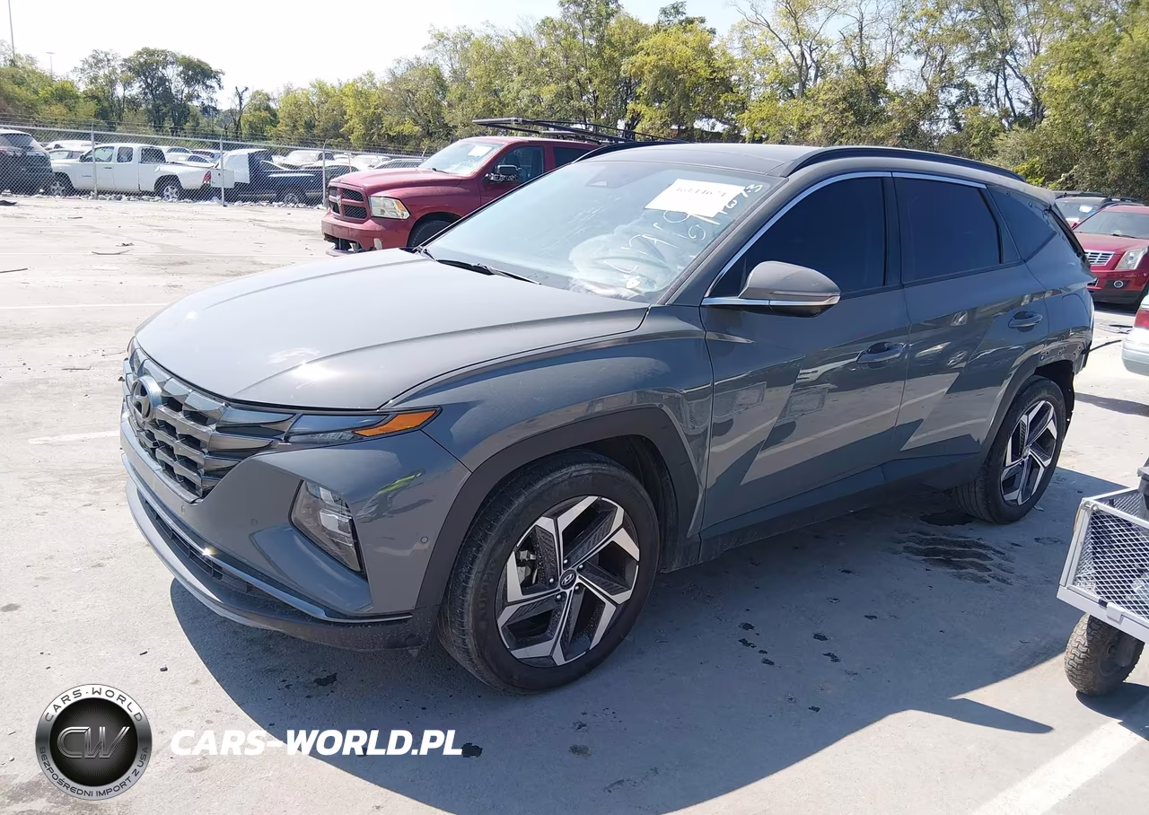 2024 Hyundai Tucson Limited VIN:5NMJE3DE4RH314969 - 2