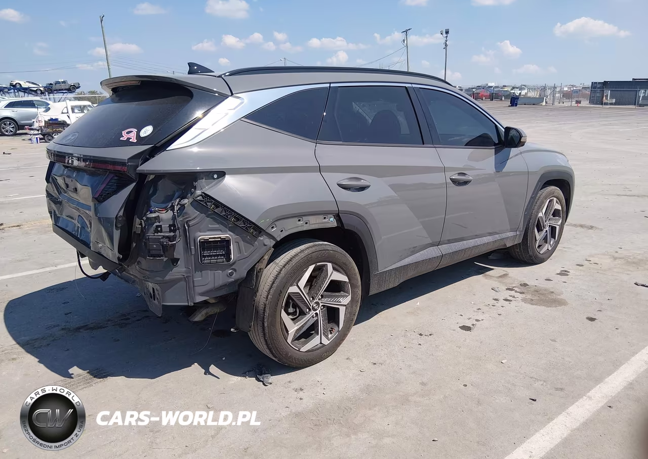 2024 Hyundai Tucson Limited VIN:5NMJE3DE4RH314969 - 4