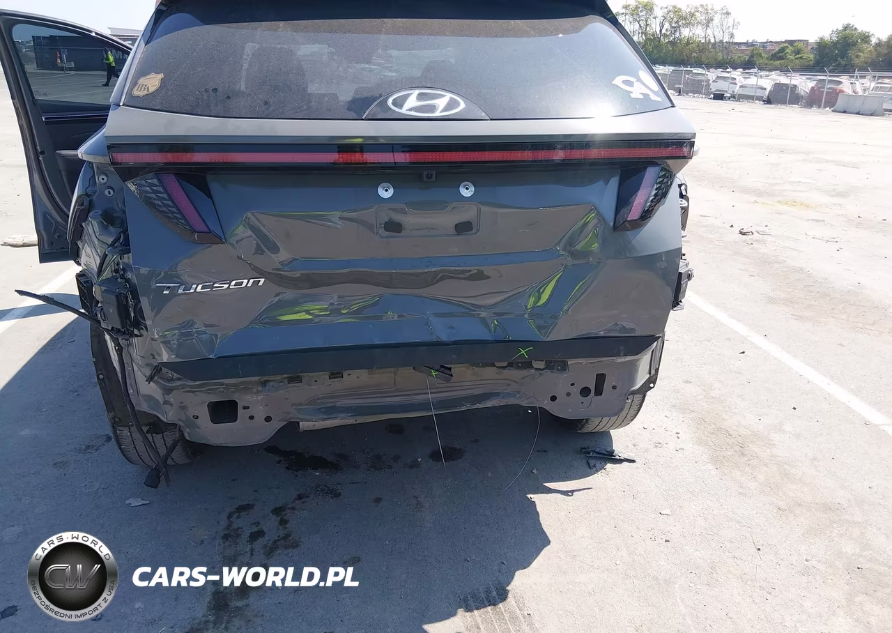 2024 Hyundai Tucson Limited VIN:5NMJE3DE4RH314969 - 6